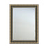 Ares Antique Champagne Wall Mirror